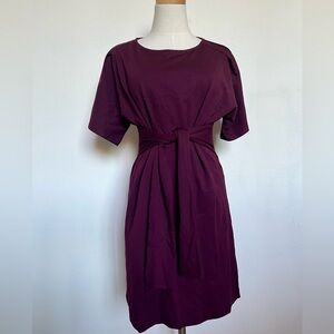 Express Rich Purple Belted Dress